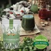Alga Espirulina 100 Pura Organica Polvo 500g