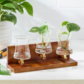 Better Homes and Gardens 3 Beaker Propagation Station, Beige Wood and Clear Glas