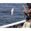 DS. DISTINCTIVE STYLE Fish Ruler Sticker 40-Inch Waterproof Adhesive Ruler