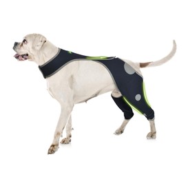 Recovery Suit for Dogs, Dog Recovery Sleeve Prevents Licking, Dog leg Sleeve Protects Wound, Dog Leg Braces for Back Leg Prevents Skin Disease, Dog Cone Alternative, with Reflective Material- M