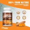 Pslalae Turmeric - 120 Capsules - 2250 mg Per Capsule