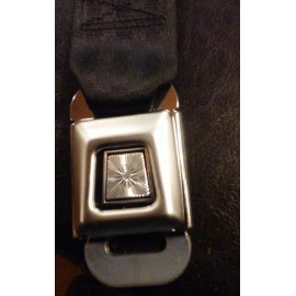 Shield seat belt and buckle