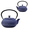SECHUDO Cast Iron Teapot Tea Kettle with Stainless Steel Infuser
