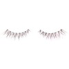 5 Pack Black Wispies Lashes