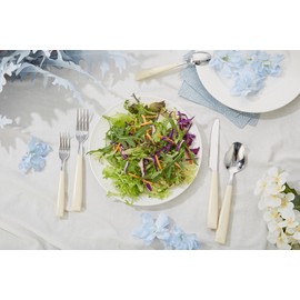 ANNOVA 20PCS Flatware Set Stainless Steel Silverware/Cutlery Set With Colored Handles Comfortable to Hold - Dinner Forks, Salad Forks, Dinner Knives, Dinner Spoons, Dessert Spoons - (Cream 20)