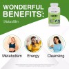 NaturalSlim Somarenew Marine Phytoplankton Supplement Superfood Capsules