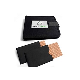 Safe Seed Cryptocurrency Metal Wallet 12-25 Word Recovery Passphrase Backup Complete Stamp Kit W/ Soft Case (Stamp Kit W/ 2 Copper Plates)