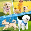 Dog Harness Small Dogs with Lead, Adjustable Step-In Puppy Harness,
