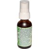 Flower Essence Services Grounding Green Spray Herbal Supplements, 1 Ounce
