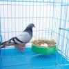 DQITJ 10 Pcs Plastic Small Bird Nests Pigeon Nesting Bowls