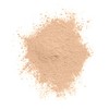 Clean Invisible Loose Powder - 110 Translucent Light by CoverGirl