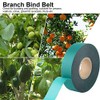 Grafting Tape Garden Tools Fruit Tree Secateurs Engraft Branch Gardening
