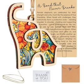 Friendship Elephant Valentines Ornament with Story Card,Sisterhood Elephant Ornament for Women Tribe, Elephant Ornament for Special Bond,Friendship Gifts for Best Friends and Sisters (Orange)