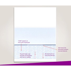 NextDayLabels - Blank Check Stock for Laser/Ink-Jet, 8-1/2 x 11" 24# lb, 500 Sheets Per Pack (Blue Bottom)