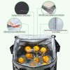 Insulated Lunch Bag Oxford Cloth Foldable Thermal Cooler Leakproof Cooler