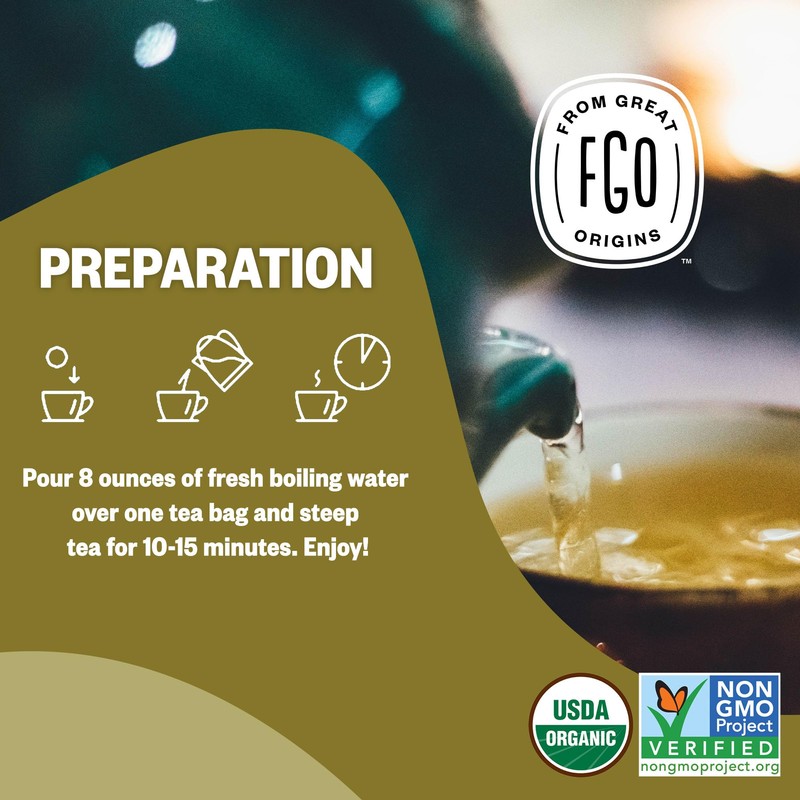 FGO Organic Ginger Tea, 100 Count, Eco-Conscious Tea Bags, Caffeine