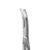 Dental Crown Holding Plier for Polishing with Ring Curved -
