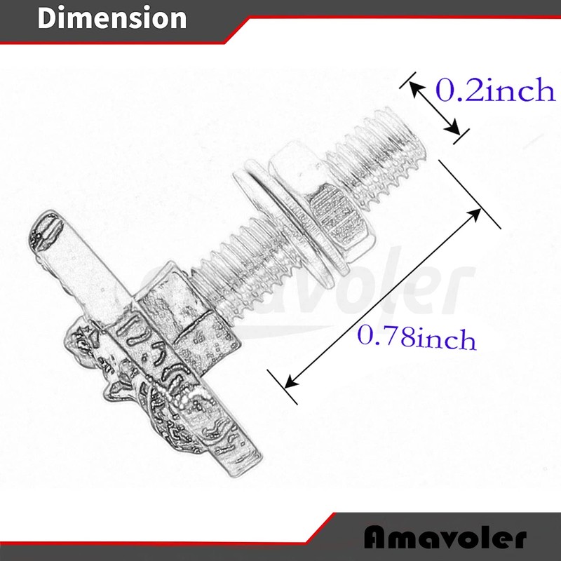 License Plate Bolts, 4 pcs Universal Jesus Style Stainless Steel