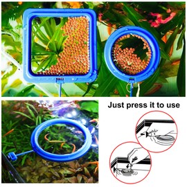 Cobee Fish Feeder Ring, 2 Pieces Aquarium Fish Feeder Fish Tank Feeder Circle Tank Accessories for Guppy Bettas Goldfish Turtle (Blue)