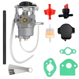 AOUHOBO Carburetor Tune Up Kit Compatible with for Homelite Ryobi RYi2300BT & RYi2300BTA Generator Carb Replace 308054124 308054123