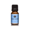 P&J Trading Fragrance Oil for Diffusers for Home - Fresh