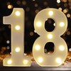 DyingSwan Led Light Up Numbers, 18th Birthday Decorations, Marquee Numbers