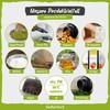 BioKontor Moringa Capsules Organic Pack of 300 Vegan Capsules I