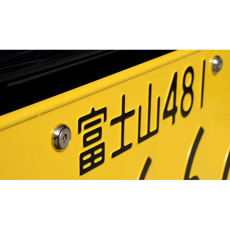 License Plate Bolts, Pintlux Sala, Stainless Steel (Silver), 4 Pieces