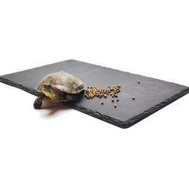 爬虫類の岩 亀乾燥ボード 床材 飼育ケースライナー 保温 保湿 フードプレート 飼育ケース内装 爪を磨くために使用 (30cm*20cm)