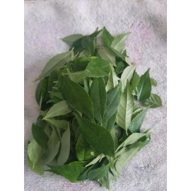 Fresh USDA Cert - 4 oz - Fresh Curry LEAVES ONLY -FREE SHIPPING-Organ