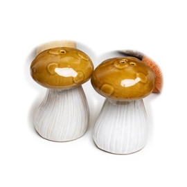 Mushroom Salt & Pepper Shakers Ceramic Hand Painted Toadstool Autumn Cruet Set