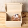 Total Paulownia Bread Case Storage Container (For 1.5 Loafs)