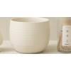 WENSHUO Conjunto de té Matcha Set de 3 piezas Crme