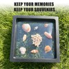 DEALSGOGO 2pcs Seashell holder, 3D Floating Seashell Display Box, Transparent
