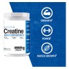 Evogen Creatina 300 Grs 60 Serv Sabor Sin Sabor