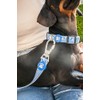 DUKIER - Adjustable and Adjustable Neoprene Pet Accessories Heavy Duty