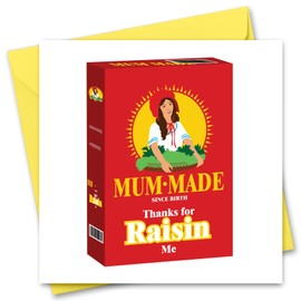 Mothers Day Card Funny Mother's Day Card For Mum Raisin Joke Mothers Day Card Retro 80's Theme School Dinners Thanks For Raisin Me