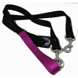 2 Hounds Design Freedom No Pull 1 Inch Training Leash ONLY Works with No Pull Harnesses Raspberry