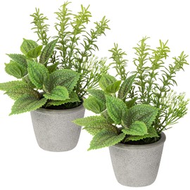Briful Set of 2 Fake Plants Artificial Potted Plants Faux Mint & Rosemary Plants Indoor for Home Farmhouse Rustic Shelf Coffee Table Cabinet Decor