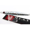 shaut! Metal Jig Lure, Stay