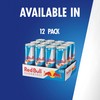 Red Bull Sugar Free Energy Drink with 151mg Caffeine plus