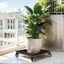 IDZO Upgraded apacity 385lbs, 14Inch Plant Caddy with Wheels Heavy Duty, Thicker Metal Plant Dolly, Plant Stand with Wheels Hauling Heavy Household Items