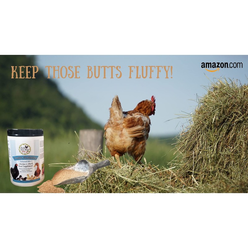 Fresh Eggs Daily Poultry Probiotics Chicken and Duck Feed Supplement