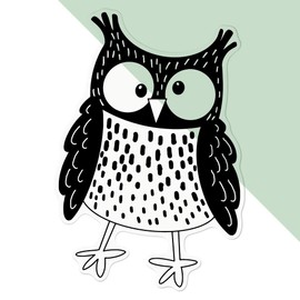 'Goofy Owl' Clear Sticker Decal – Waterproof Film for Windows, Cars, Walls & Crafts, Large (210mm) (DC00142238)