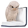 moses. B-Uhu-ch Bookend Decorative Object for Bookcase, 3D Owl as