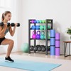 4 Tier Dumbbell, Rack Adjustable Weight Rack for Home Gym