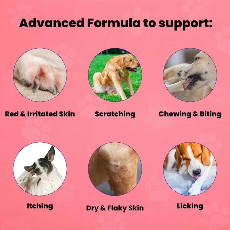 EQ K9 Anti Itch & Allergy Treats for Dogs |