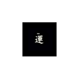 Silver Temporary Tattoo Japanese Kanji - Fate