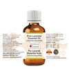 Greenwood Essential Essential Oil Kit 100% Natural Therapeutic Grade 15ml
