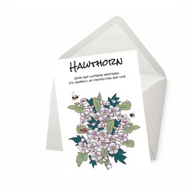 PICTURE THIS PRINTS Friendly Hawthorn Birth Flower, May Birthday Birth Flower Meaning Card, Nature-Inspired Floral Birthday Greeting, Botanical Hawthorn Symbolism Card, Comes with Envelope (5x7”)